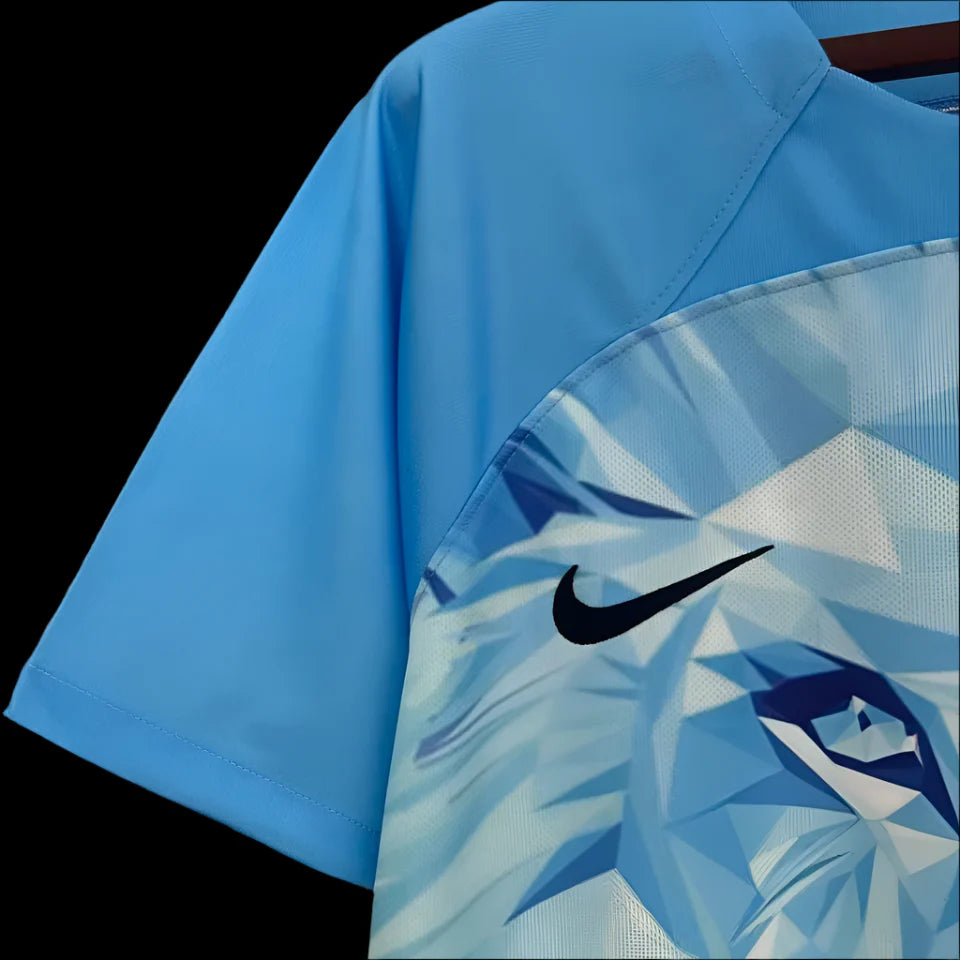 Netherlands 24/25 Blue Concept Fan Jersey